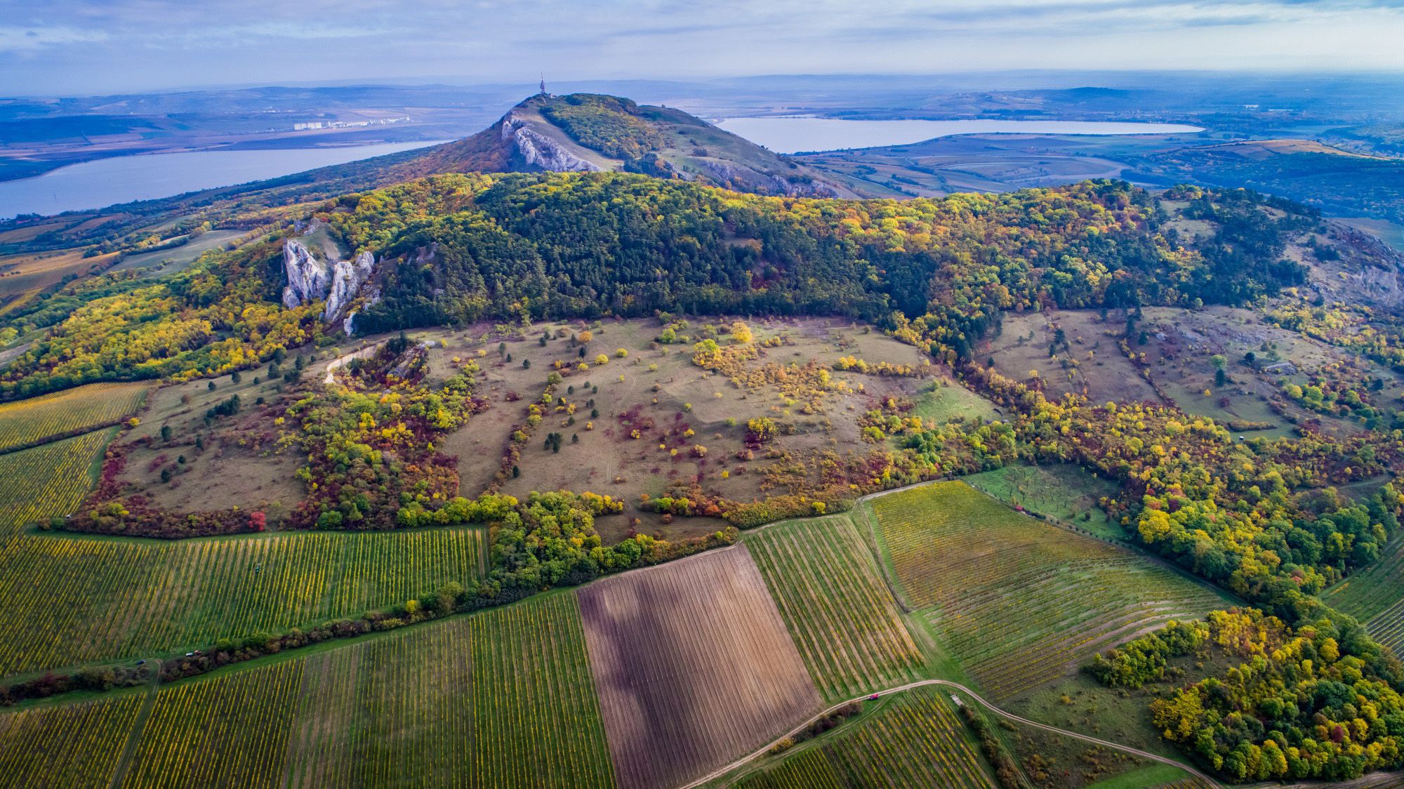 Vinice a krajina Pálavy