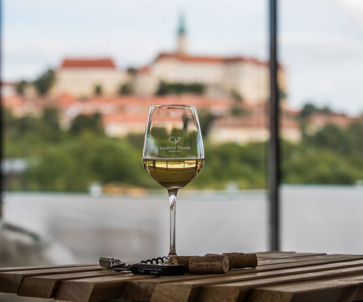 Vinotéka Volařík — fotografie 10